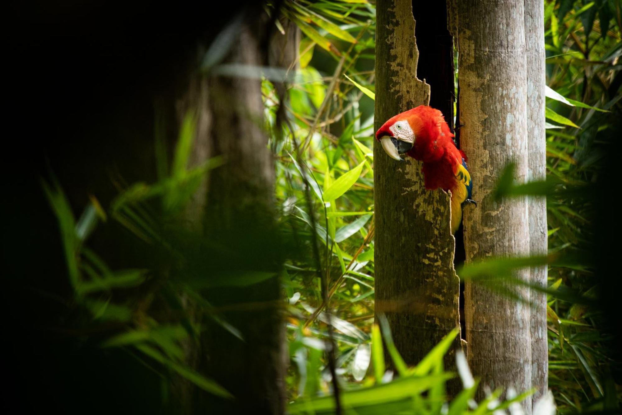 El Faro Nationalpark Manuel Antonio